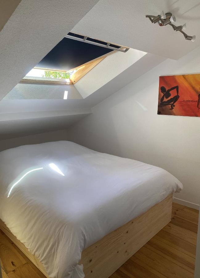 Apartamento T3 duplex6 hyper-centre climatisé Albi Exterior foto